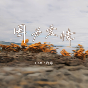 火影18 游戏手游入口
